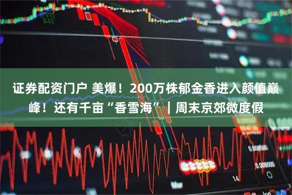 证券配资门户 美爆！200万株郁金香进入颜值巅峰！还有千亩“香雪海”｜周末京郊微度假